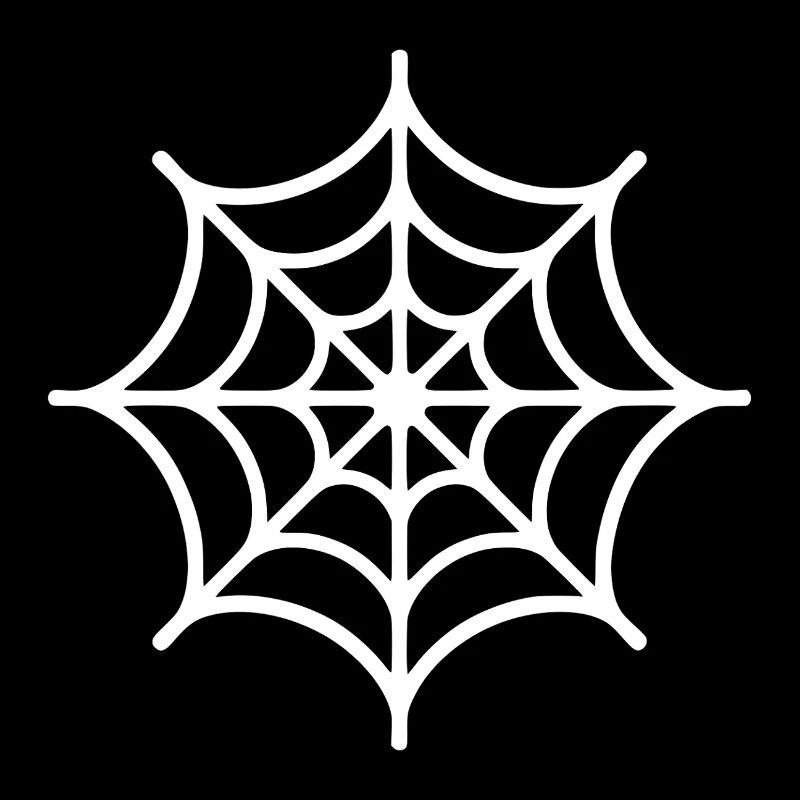 Spider Web Spider