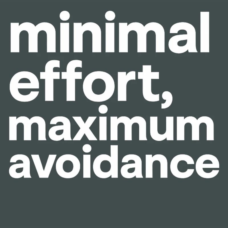 minimal effort maximum avoidance | Ironie, Minimal
