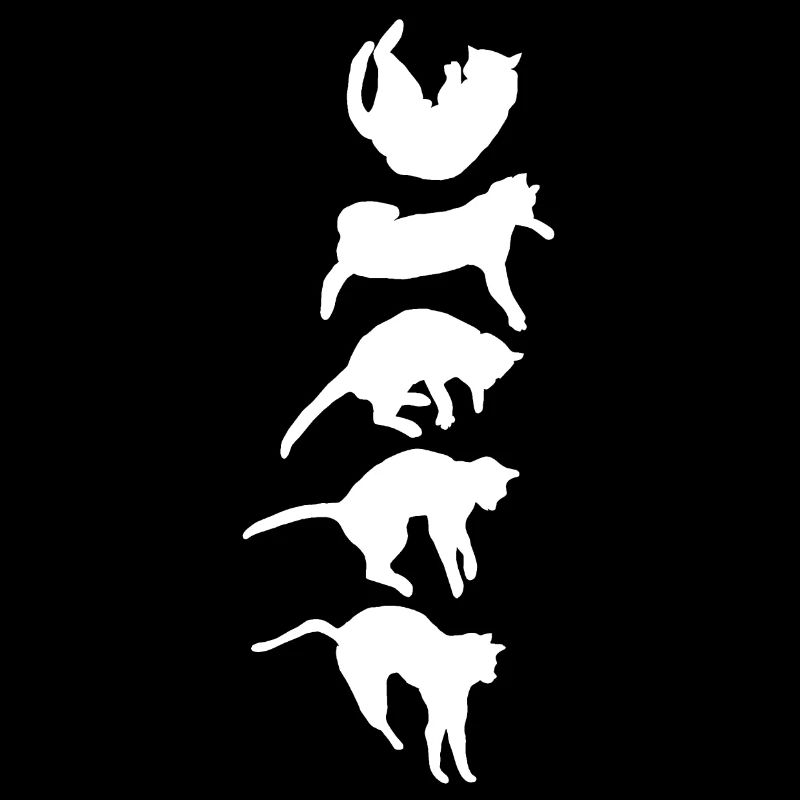 Réflexe de redressement du chat qui tombe
