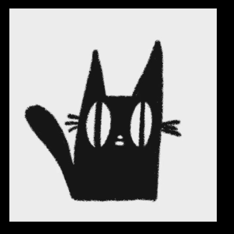 Mimi le chat noir