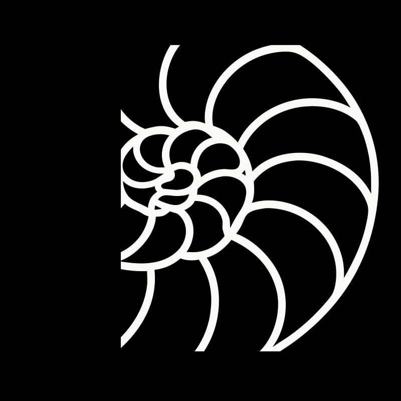 Spirale Nautile Blanche