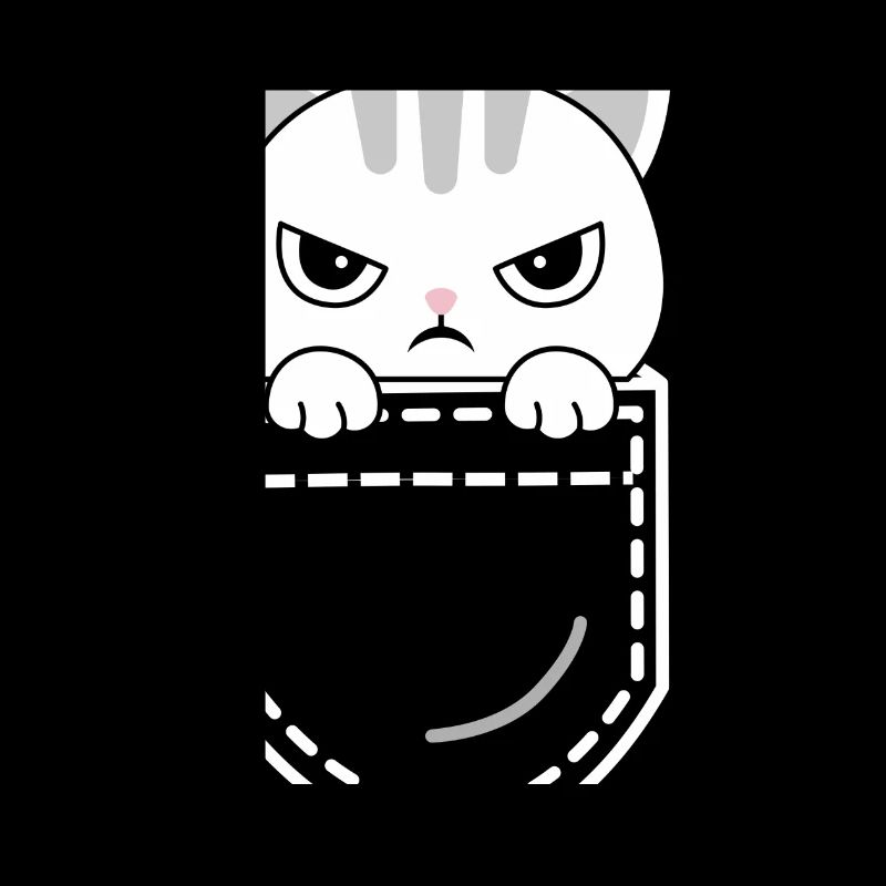 Katze Katzen