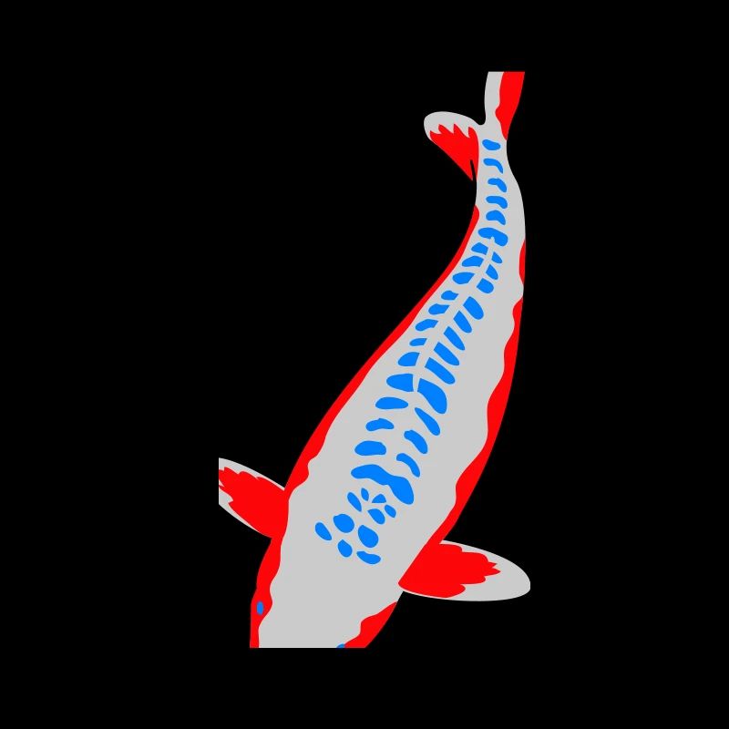 Koi - Nishikigoi