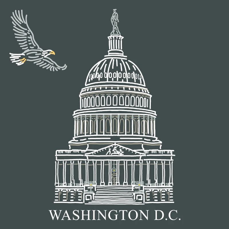Washington D.C., Capitol Structure, Bald Eagle