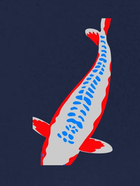 Koi - Nishikigoi