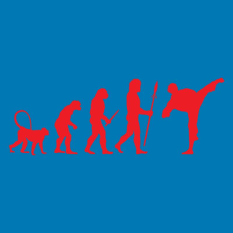 Entwicklung von Karate