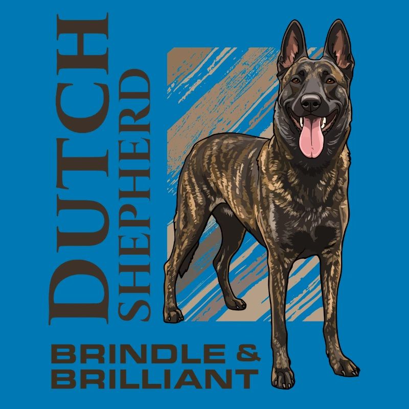 Dutch Shepherd – Dutchie