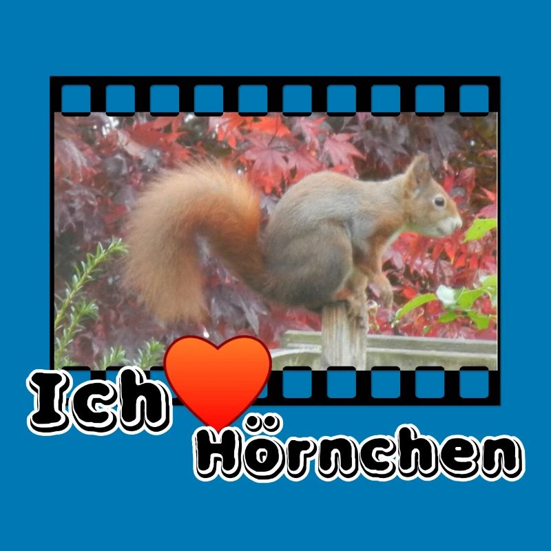 Liebe Tierfreund Eichhoernchen Tiere Spruch