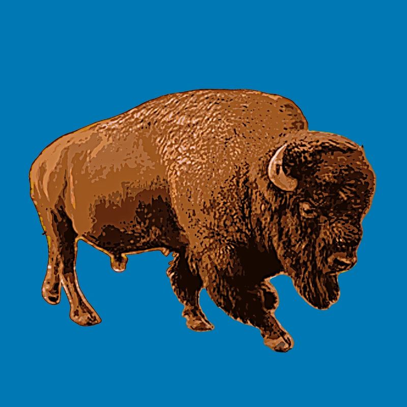 Bison
