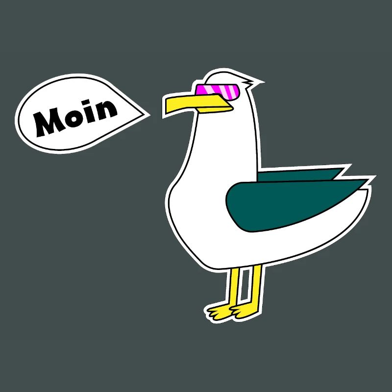 Möwe Moin