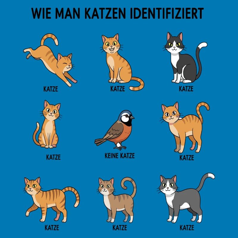 Guide d’identification des chats