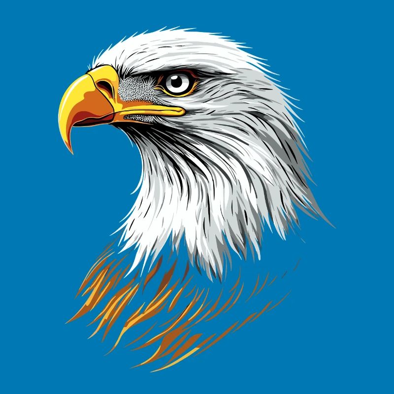 Eagle Bald Eagle Golden Eagle White-tailed Eagle