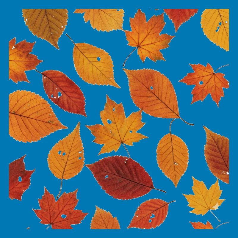 Autumn Leaf Pattern