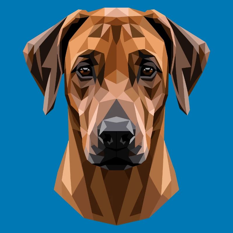 Rhodesian Ridgeback Jagdhund Hunde Stolz Ridgeback