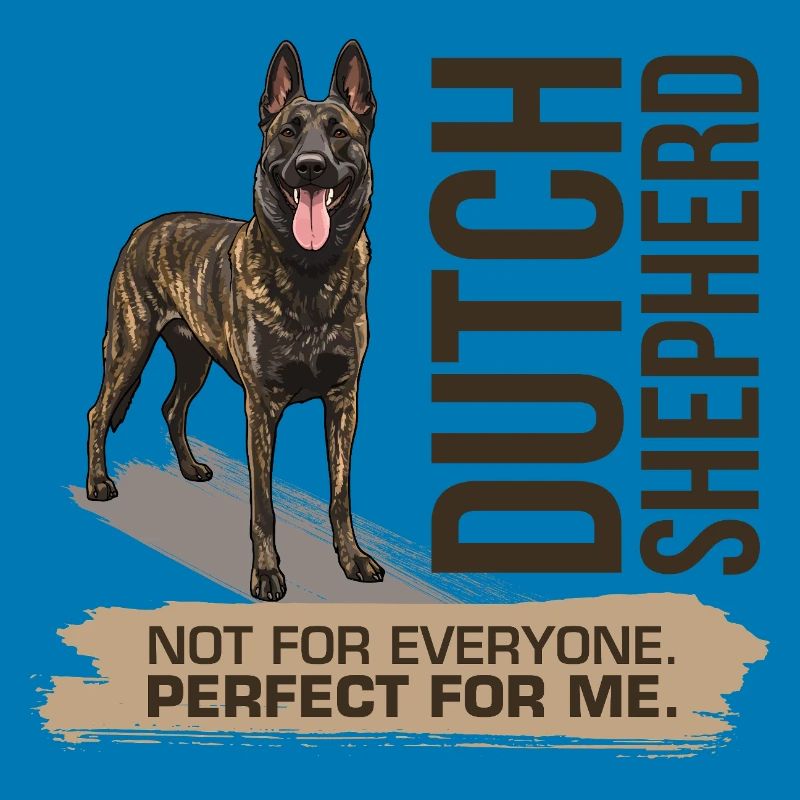 Dutch Shepherd - Dutchie 