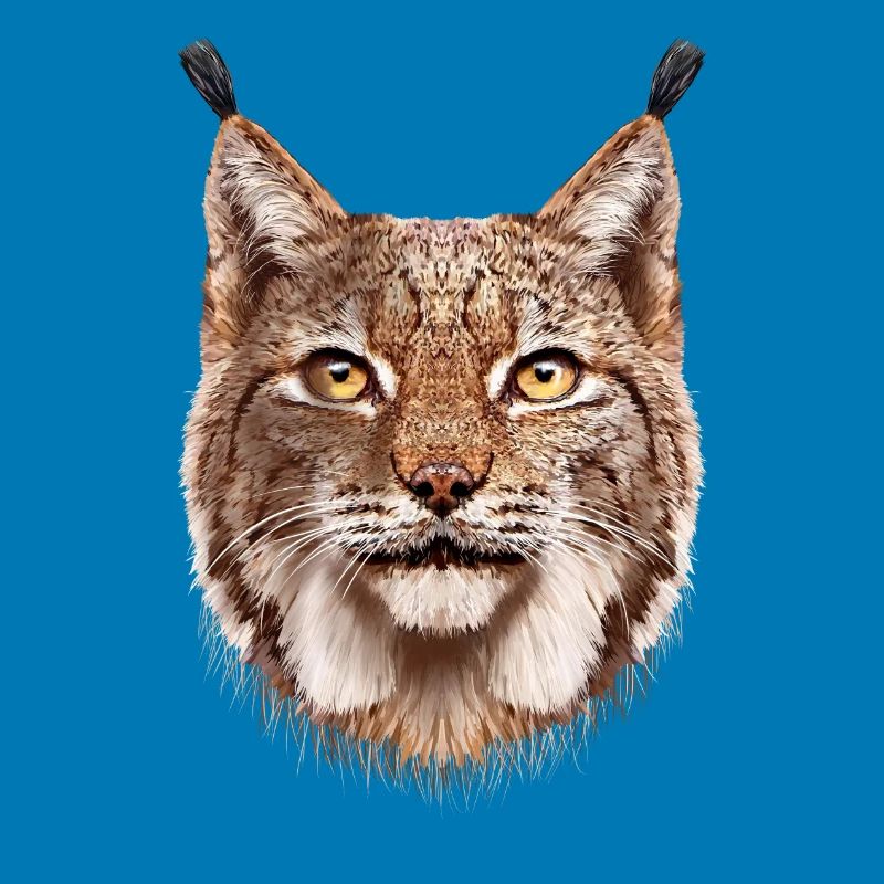 Luchs