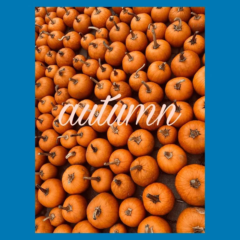 Herbst Autumn pumpkin