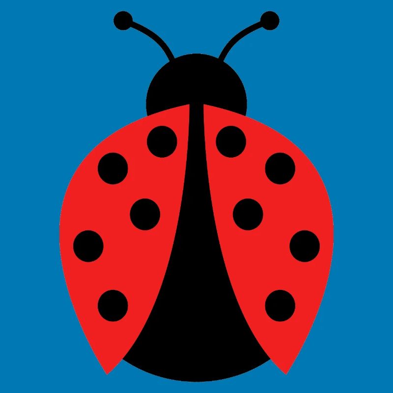 ladybug