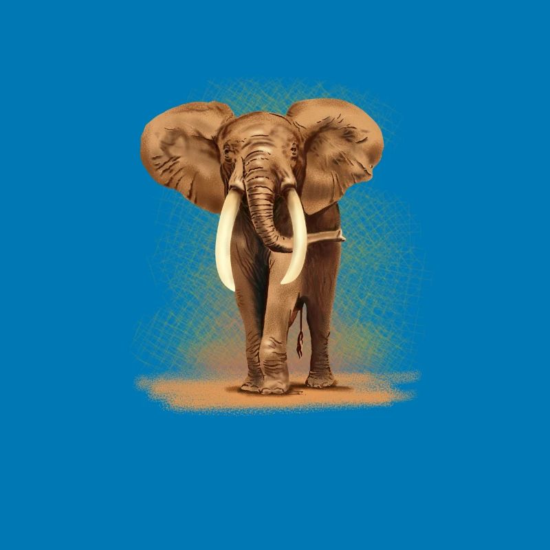 Elefant