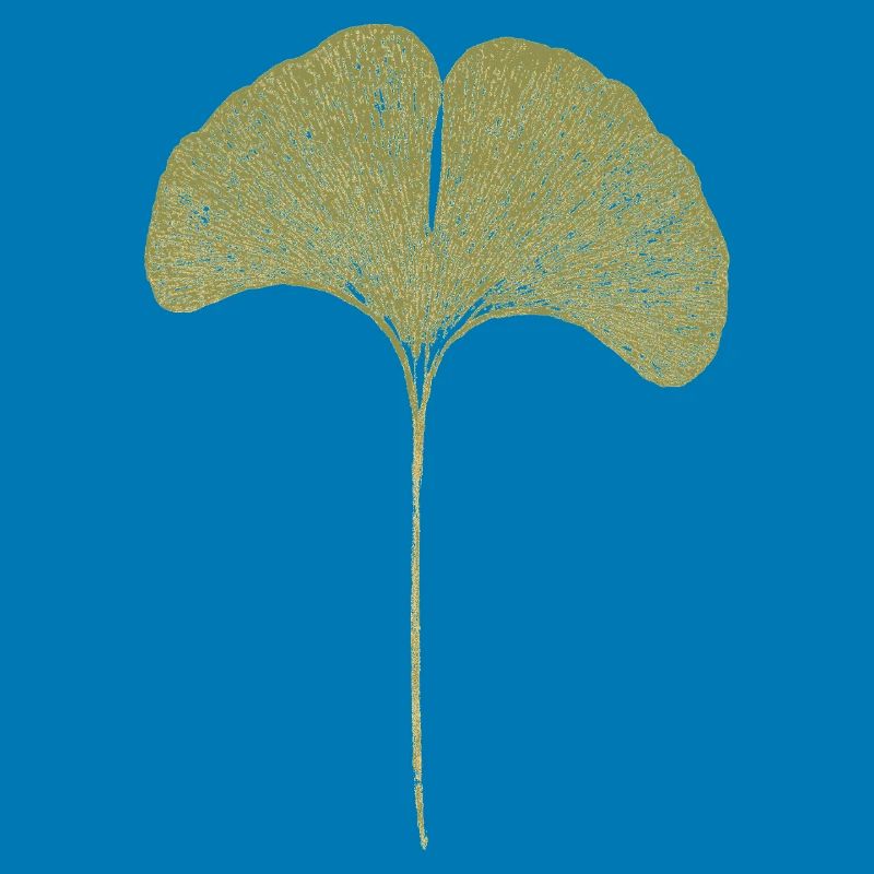 Gingko Leaf