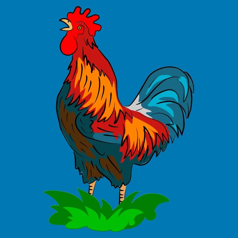 rooster