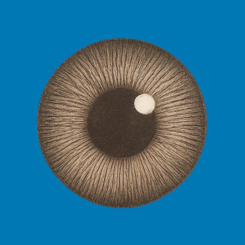 Brown Iris Closeup