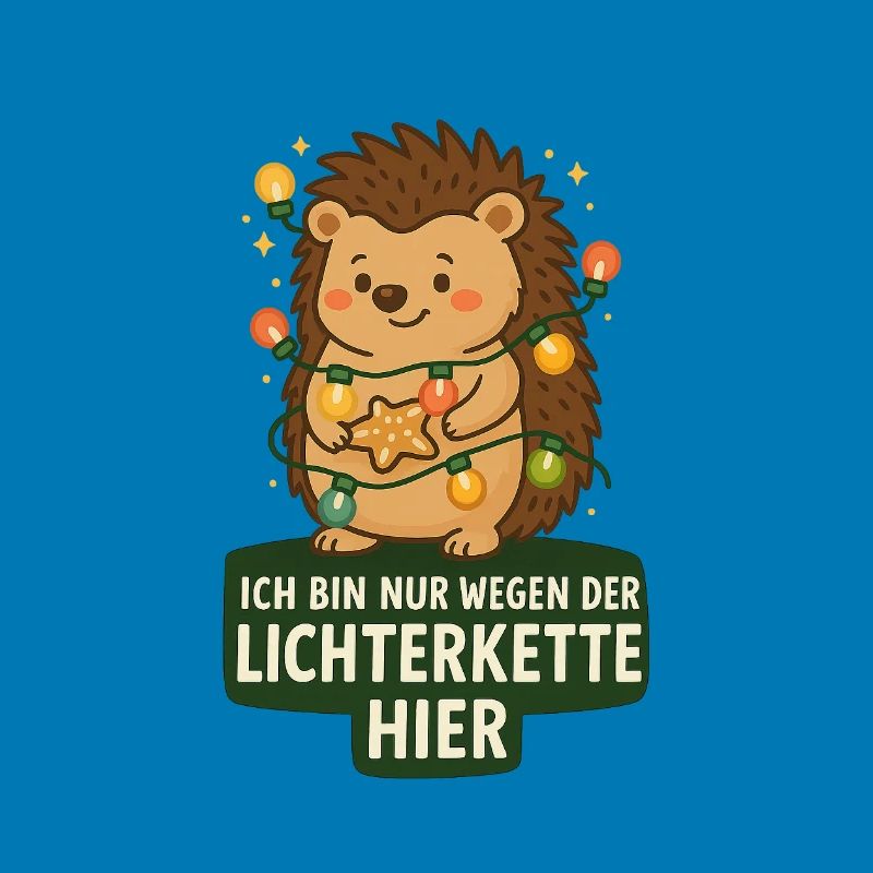 Igel mit Lichterkette