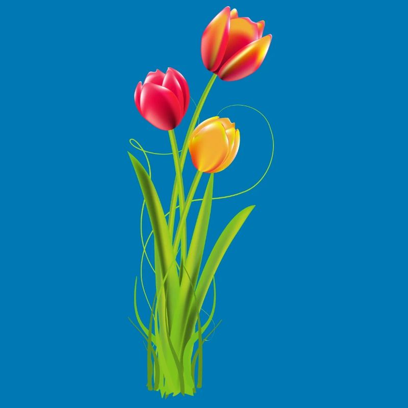 Three brightly coloured tulips as a spring bouquet