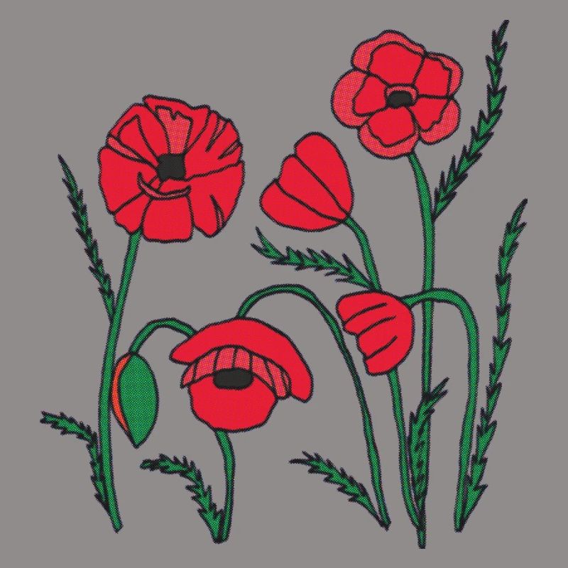 Mohn
