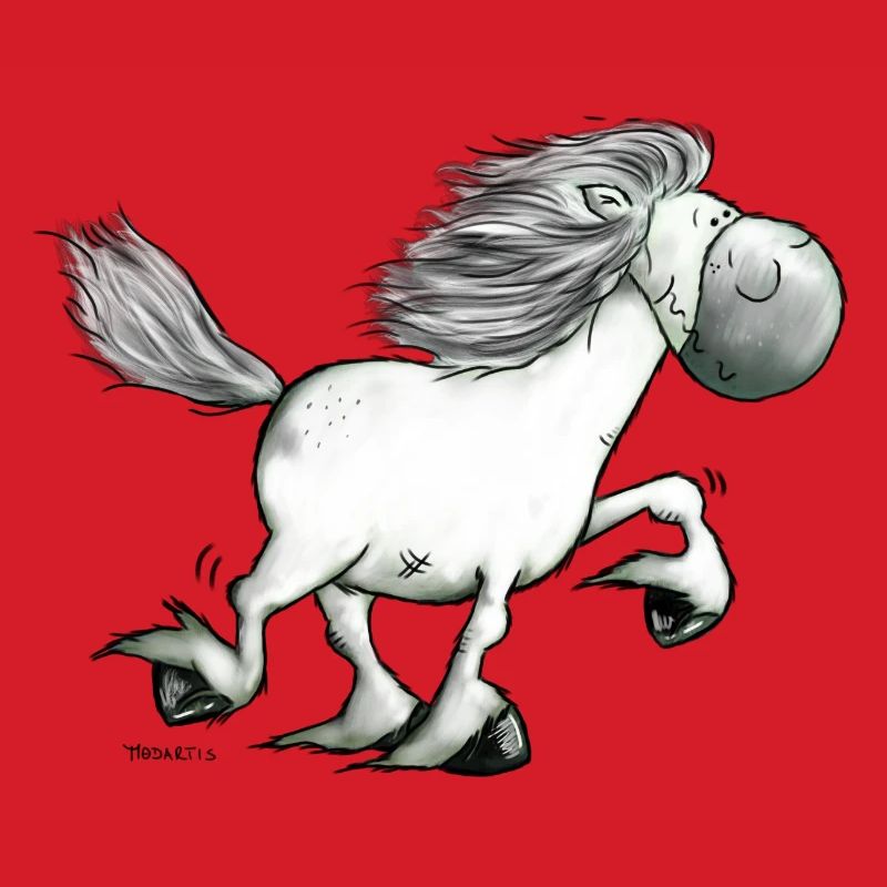 Drolliger Isländer - Islandpferd - Isi