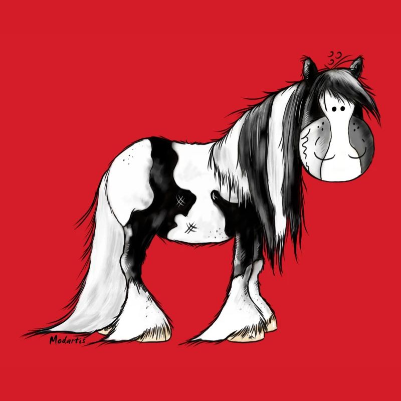 Irish Tinker Pferd - Pinto