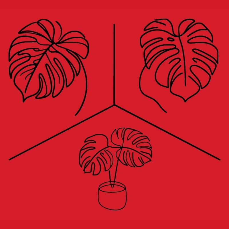 Monstera Design