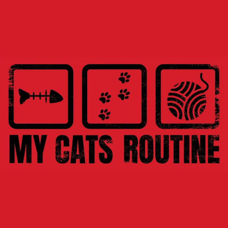 Cat Daily Routine