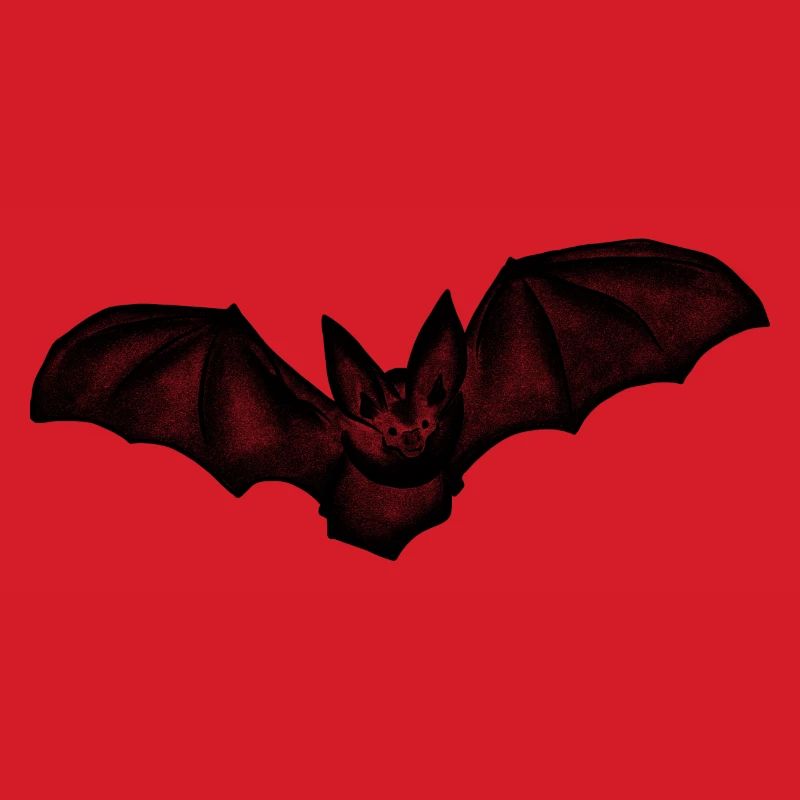 Fledermaus