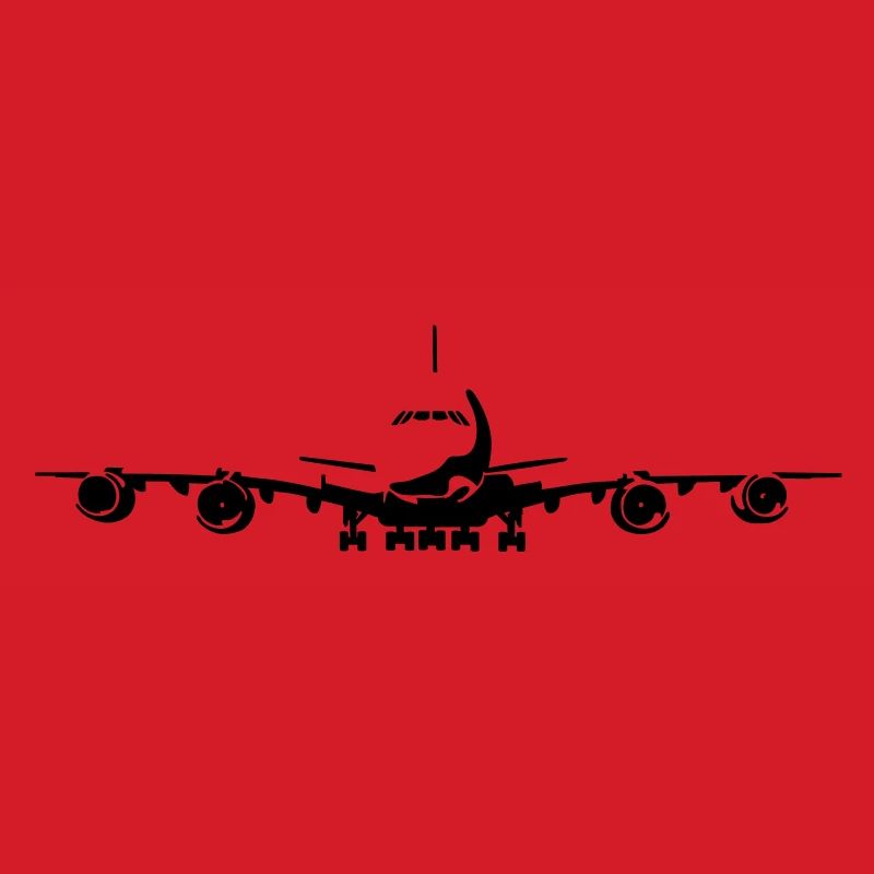 Passagierflugzeug
