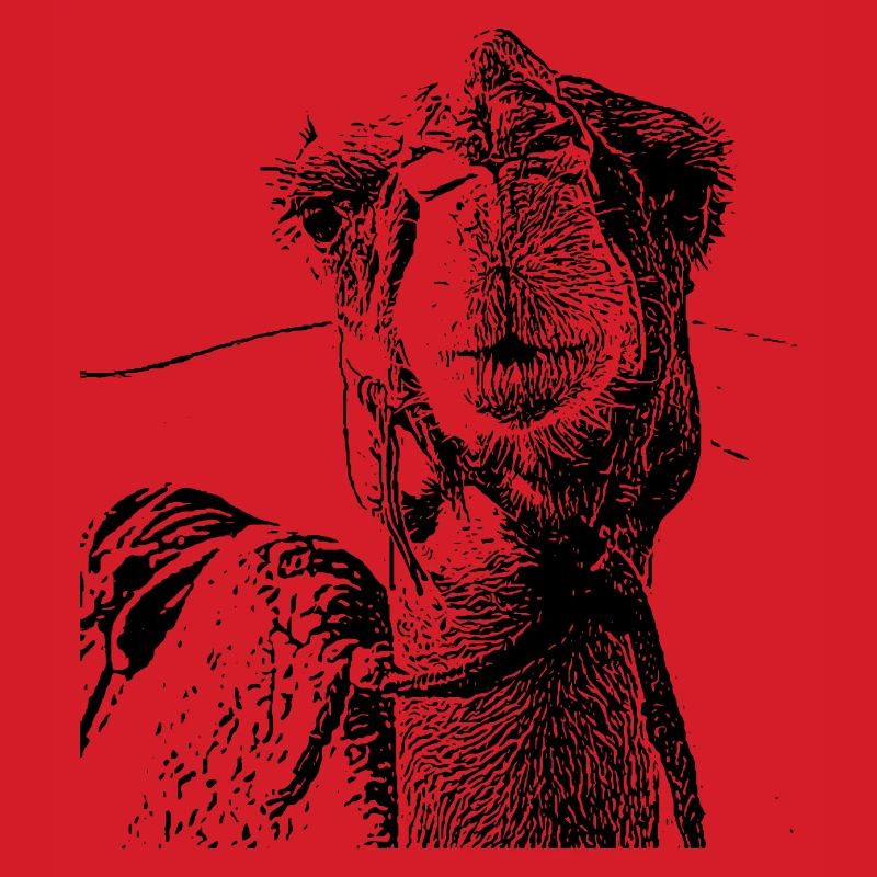 Camel