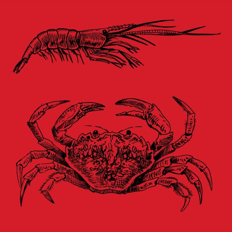 Crab & Shrimp - Shellfish Power