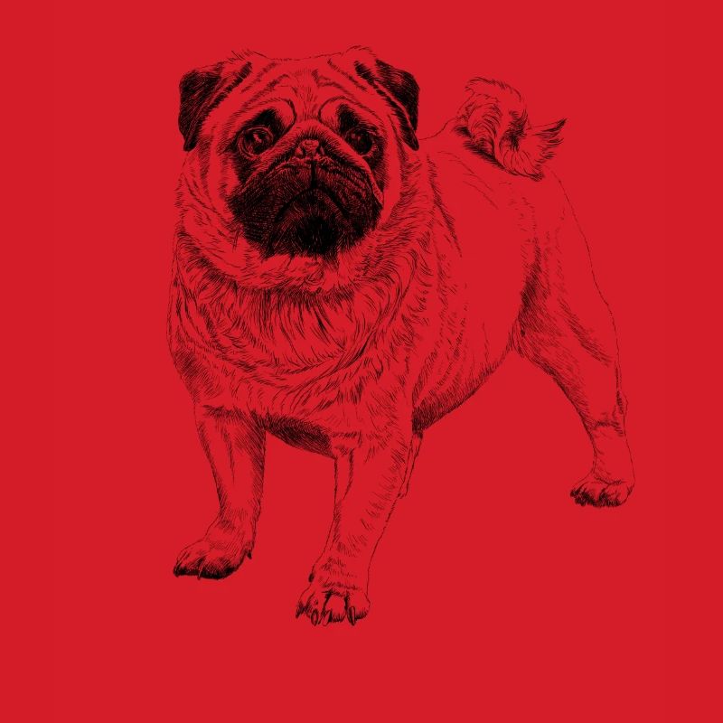 Mops