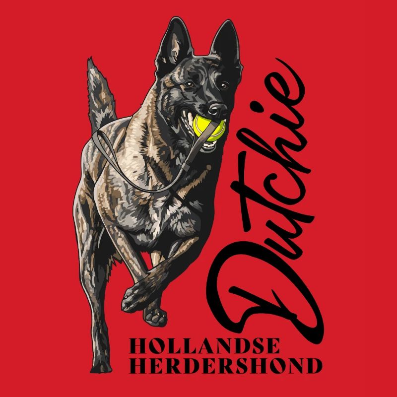 Dutch Shepherd - Dutchie 