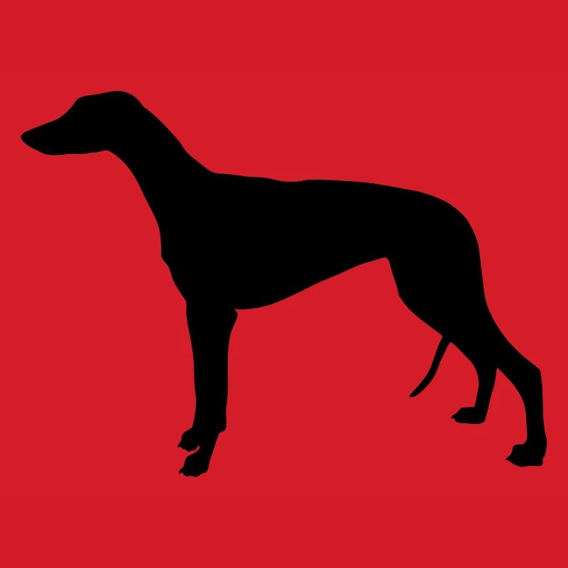 Greyhound