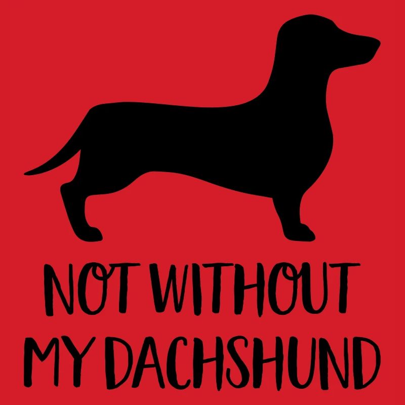 dachshund