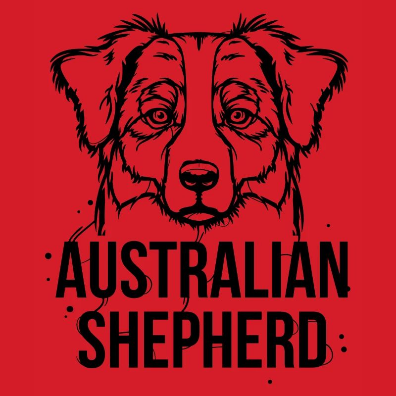 Australian Shepherd