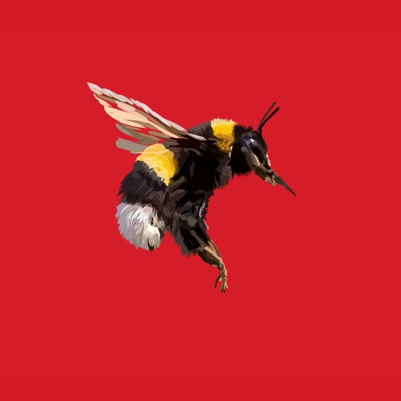Hummel