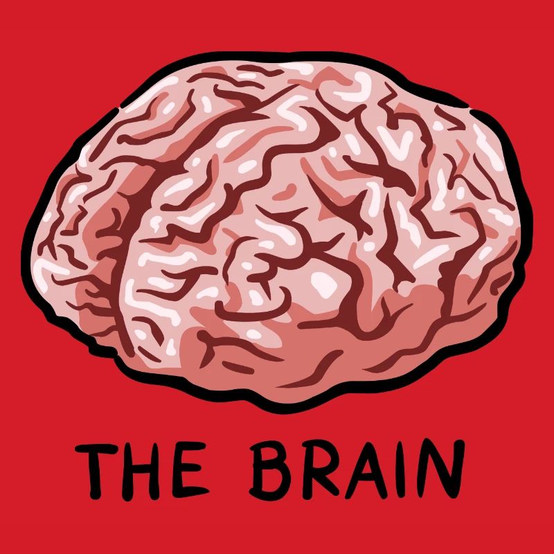 THE BRAIN