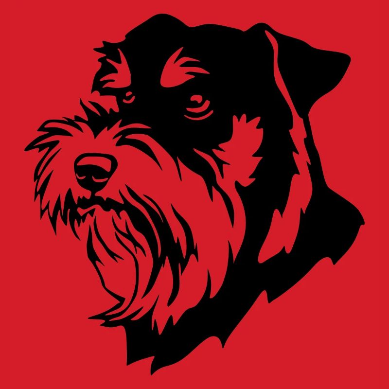 Schnauzer Kopf