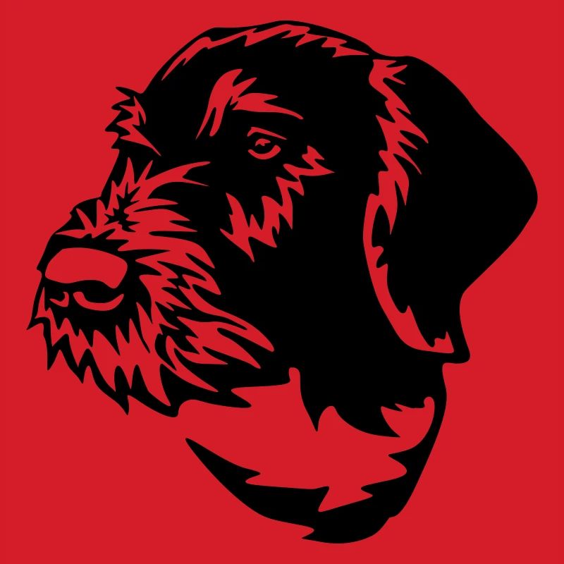 German Wirehaired Pointer