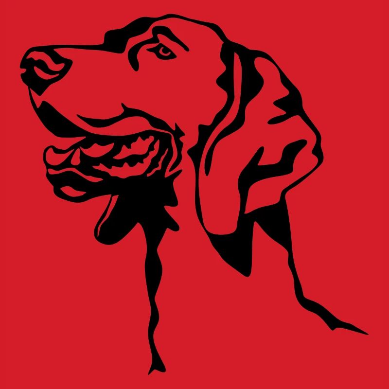 Weimaraner Kopf