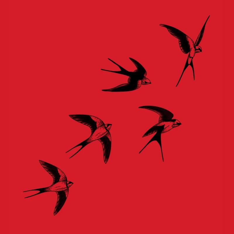 Swallow birds