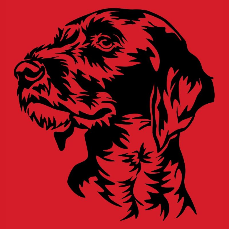 German Wirehaired Pointer head