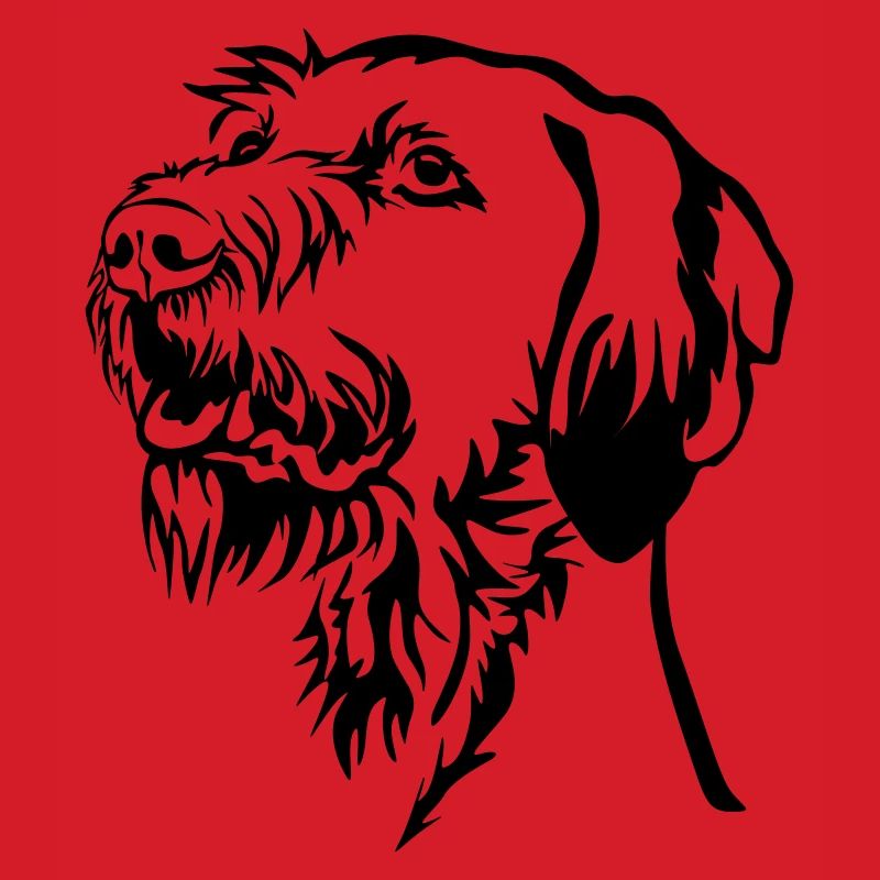 Magyar Vizsla Kopf